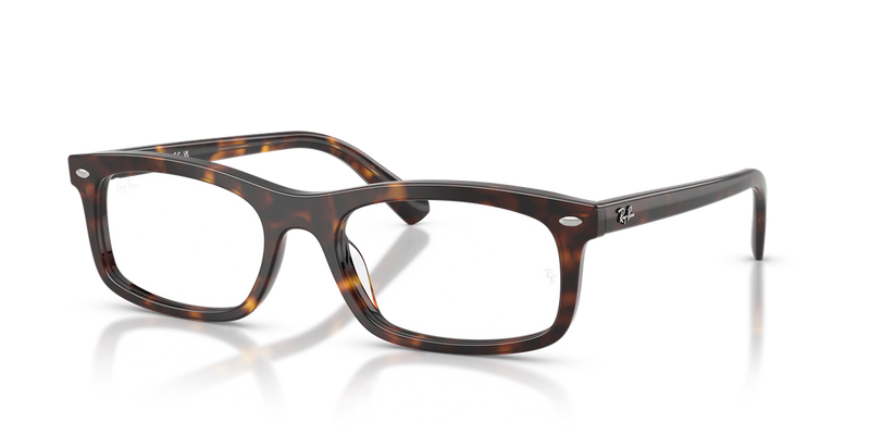 Ray-Ban RX5450F in Havana / Clear (2012) - Alternate View