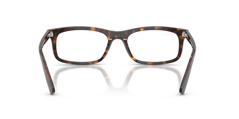 Ray-Ban RX5450F in Havana / Clear (2012) - Alternate View