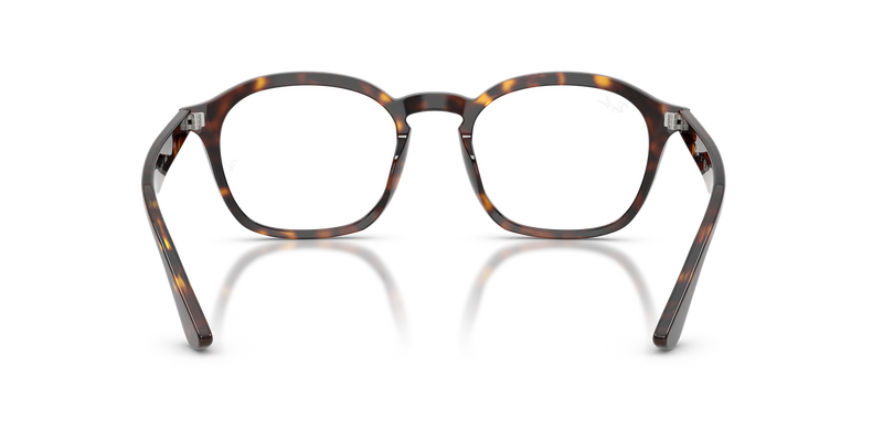 Ray-Ban RX5451F in Havana / Clear (2012) - Alternate View