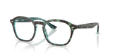 Havana & Blue / Clear (8486)