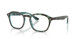 Havana & Blue / Clear (8486)