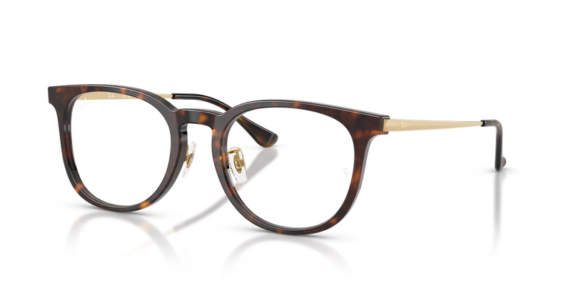 Ray-Ban RX5453D in Havana / Clear (2012) - Alternate View