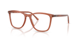 Transparent Brown / Bio Demo Lens (8511)