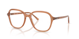 Transparent Brown / Bio Demo Lens (8537)