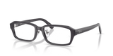 Transaprent Grey / Demo Bio (5920)
