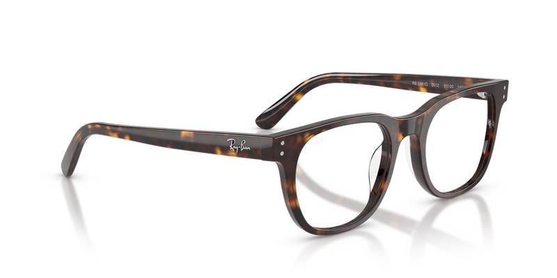 Ray-Ban RX5461D in Havana - Alternate View