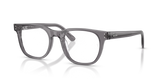 Transparent Grey / Demo Bio (8268)