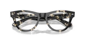 Grey Tortoise / Clear (8117)