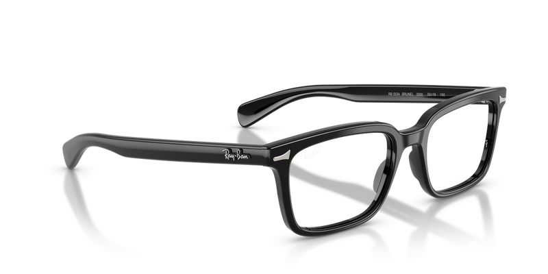 Ray-Ban BRUNEL in Black - Alternate View