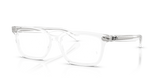 Transparent / Bio Demo Lens (2001)
