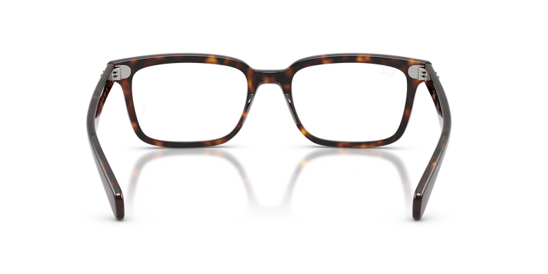 Ray-Ban BRUNEL in Havana - Alternate View