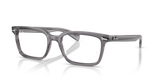 Transparent Grey / Bio Demo Lens (8268)