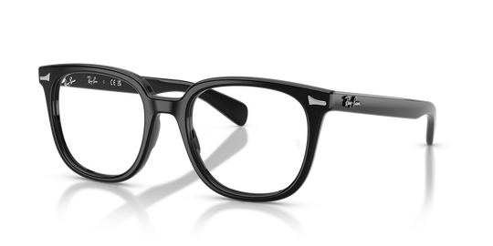 Ray-Ban BRUNEL II - Black / Bio Demo Lens (2000)