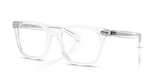 Transparent / Bio Demo Lens (2001)