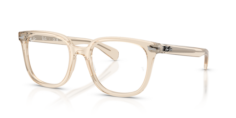 Ray-Ban BRUNEL II in Transparent Nude - Alternate View