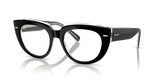 Black On Transparent / Clear (2034)