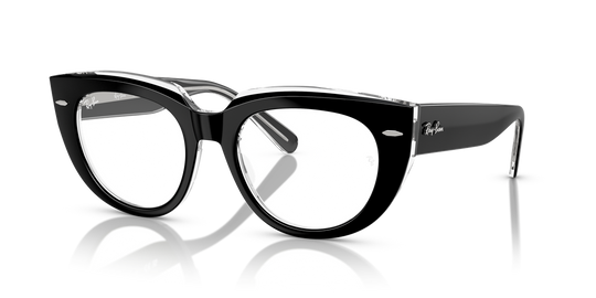 Ray-Ban DOREEN - Black On Transparent / Clear (2034)