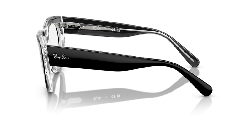 Ray-Ban DOREEN in Black On Transparent / Clear (2034) - Back View