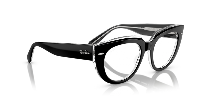 Ray-Ban DOREEN in Black On Transparent / Clear (2034) - Alternate View