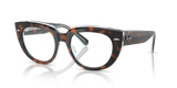 Dark Havana On Multicolor / Clear (8401)