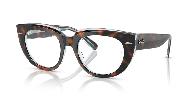 Ray-Ban DOREEN in Dark Havana On Multicolor / Clear (8401) - Alternate View