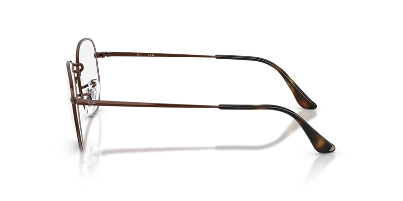 Ray-Ban RX6448 in Brown - Back View