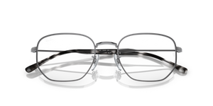 Gunmetal / Clear (2502)