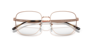 Copper / Clear (2943)