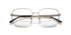 Gold / Clear (2993)