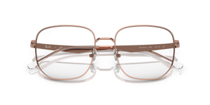 Rose Gold / Clear (3094)