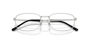 Silver / Clear (2501)