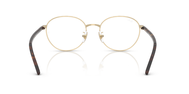 Ray-Ban RX6538D in Havana On Pale Gold - Alternate View