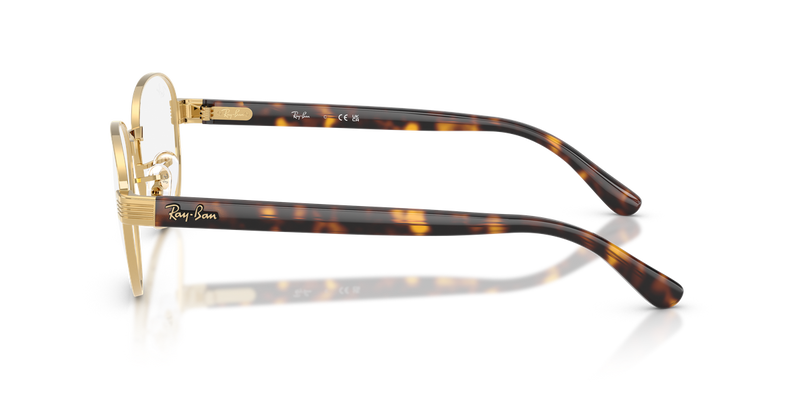 Ray-Ban RX6543 in Arista Gold / Clear (2500) - Back View