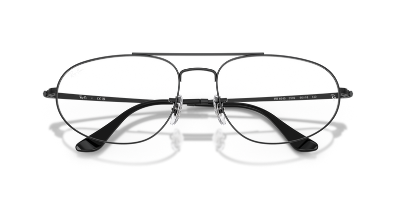 Ray-Ban RX6645 in Black / Clear (2509) - Alternate View