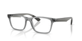 Light Grey / Clear (8475)