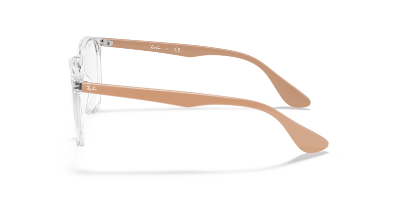 Ray-Ban ERIKA in Transparent / Clear (5953) - Alternate View