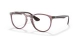 Transparent Violet / Clear (8139)