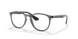 Transparent Grey / Clear (8140)