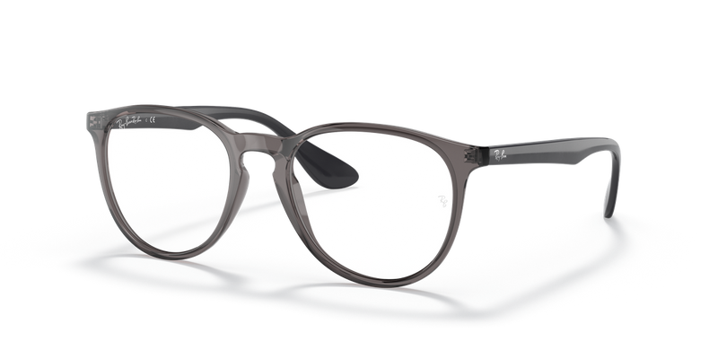 Ray-Ban ERIKA in Transparent Grey / Clear (8140) - Alternate View