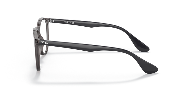 Ray-Ban ERIKA in Transparent Grey / Clear (8140) - Alternate View