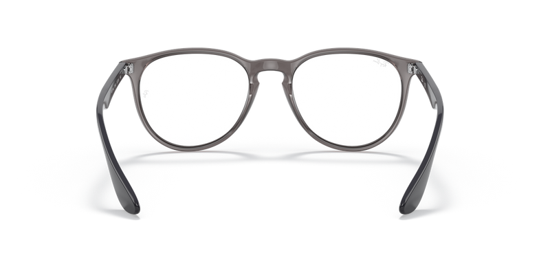 Ray-Ban ERIKA in Transparent Grey / Clear (8140) - Alternate View