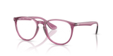 Transparent Violet / Clear (8509)