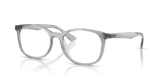 Transparent Grey / Clear (8012)