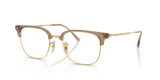 Beige On Gold / Clear (8471)