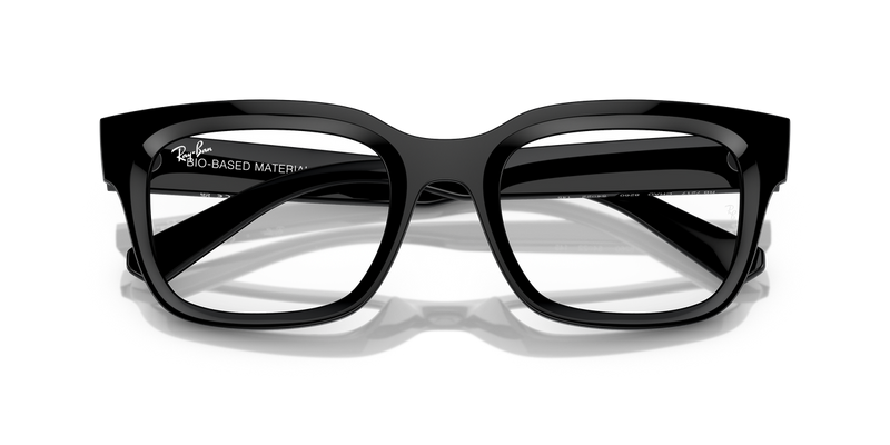 Ray-Ban CHAD in Black / Clear (8260) - Alternate View