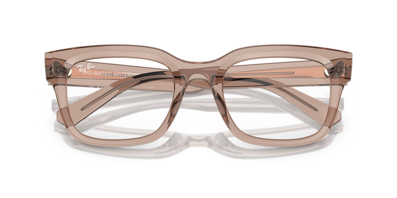 Ray-Ban CHAD in Transparent Light Brown / Clear (8317) - Alternate View