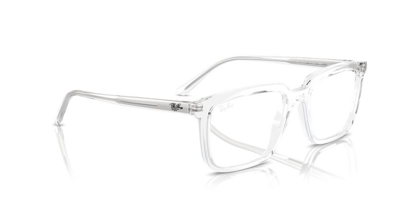 Ray-Ban ALAIN in Transparent / Clear (2001) - Alternate View