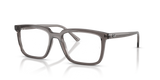Transparent Grey / Clear (8506)