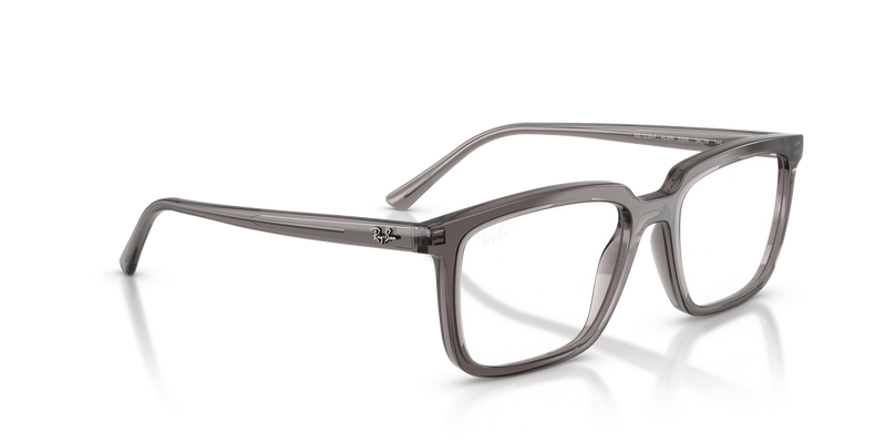 Ray-Ban ALAIN in Transparent Grey / Clear (8506) - Alternate View