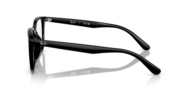 Ray-Ban RX7248D in Black - Back View